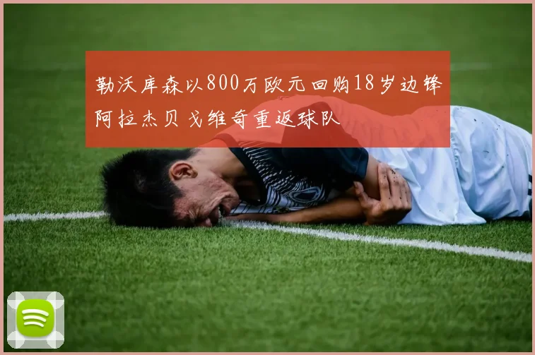 勒沃库森以800万欧元回购18岁边锋阿拉杰贝戈维奇重返球队